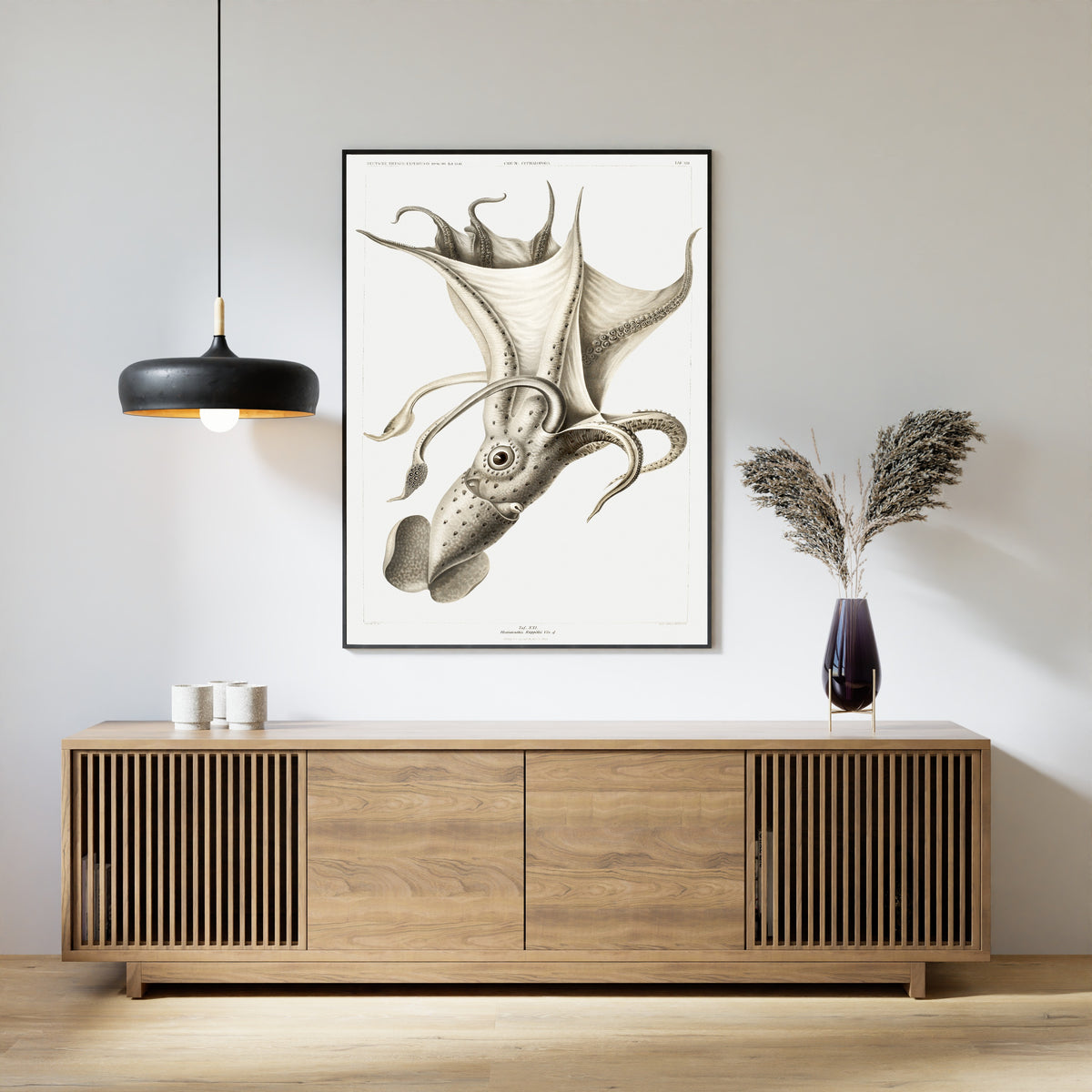 Ewald Heinrich Rübsaamen — Histioteuthis rüppellii | Scientific Illustration Print