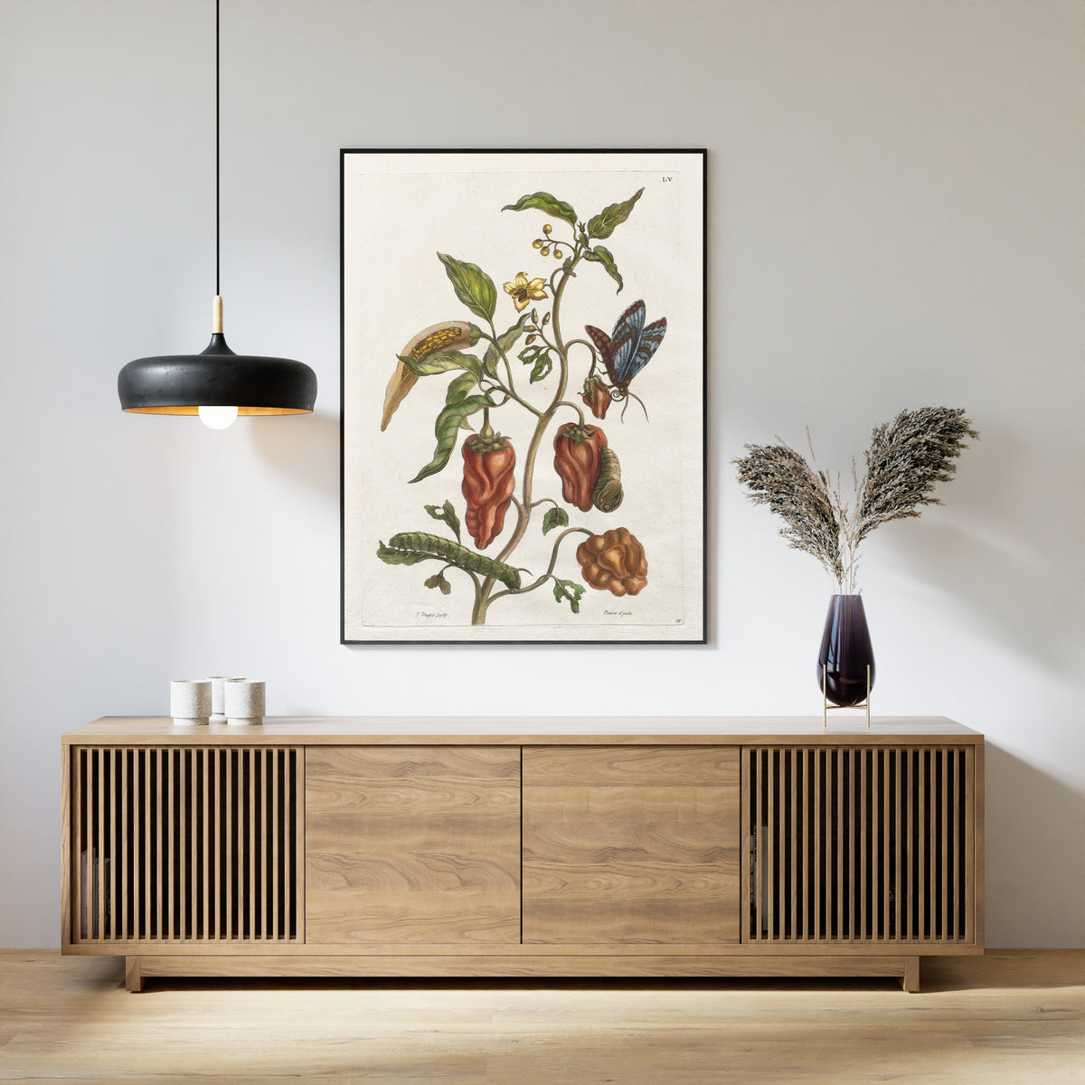 Framed art print of Histoire générale des insects de Suriname et de toute l'Europe: Vol I, No. 55… by Maria Sibylla Merian, above a slatted wood sideboard