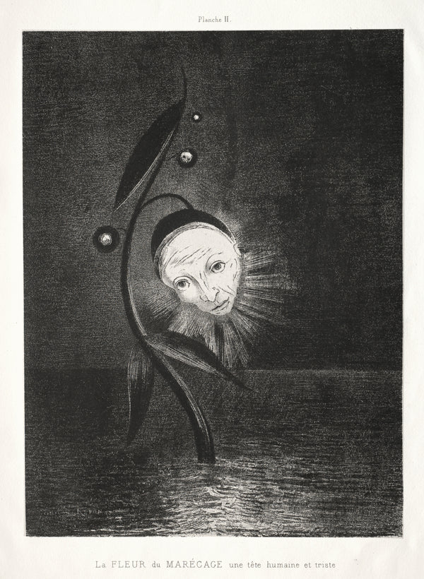 Odilon Redon — Homage to Goya: The Marsh Flower, a Sad Human Head | Symbolist Art Print