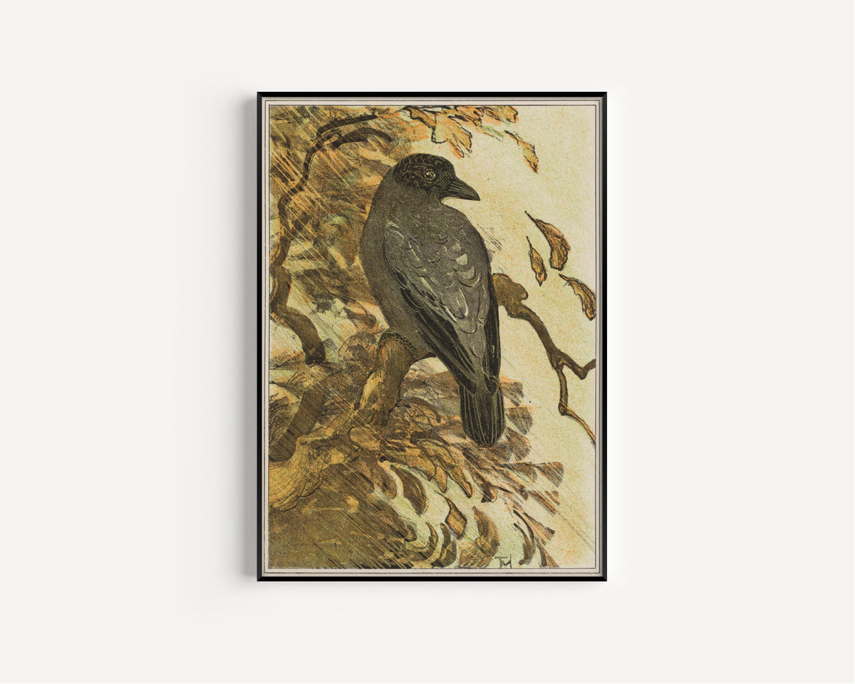 Theo van Hoytema — Hooded Crow on a Branch | Art Nouveau Print