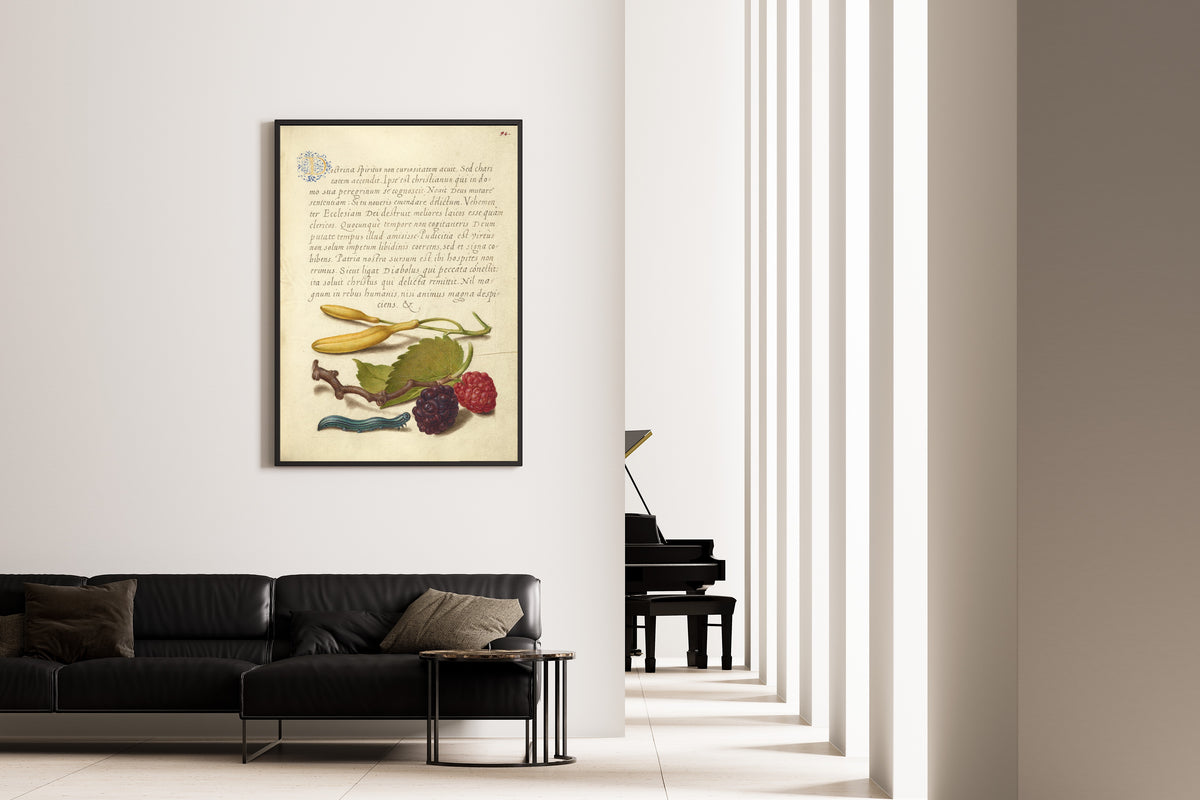 Joris Hoefnagel — Hyacinth, Black Mulberry, and Caterpillar | Botanical Calligraphy Print
