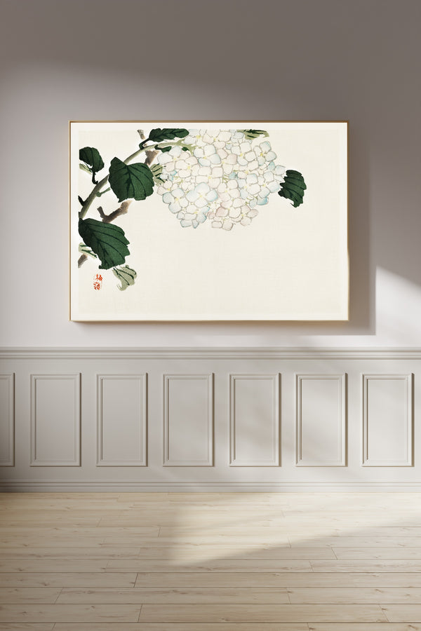 Kōno Bairei — Hydrangea | Japanese Bird & Flower Woodblock Print