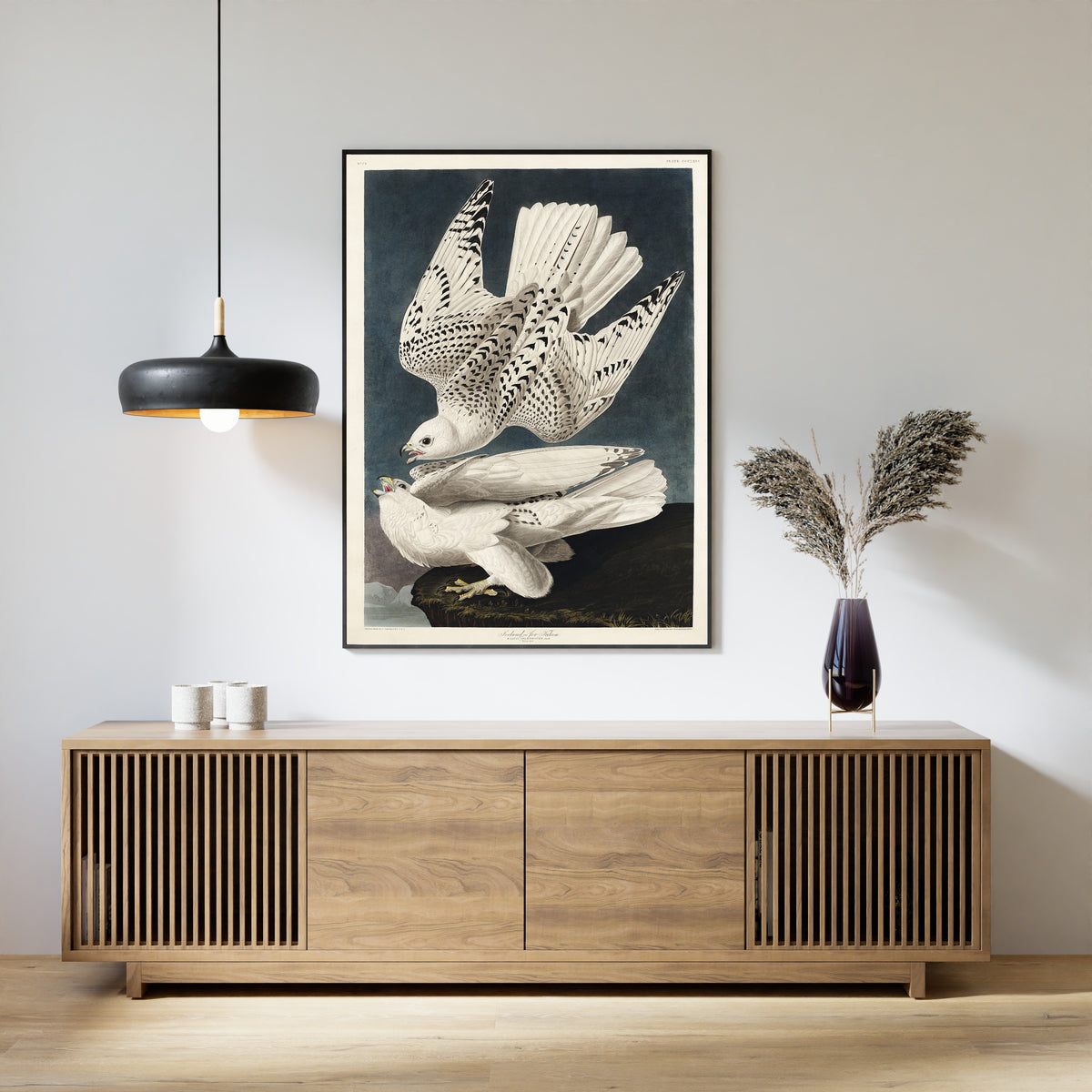 John James Audubon — Iceland or Jer Falcon | Natural History Print