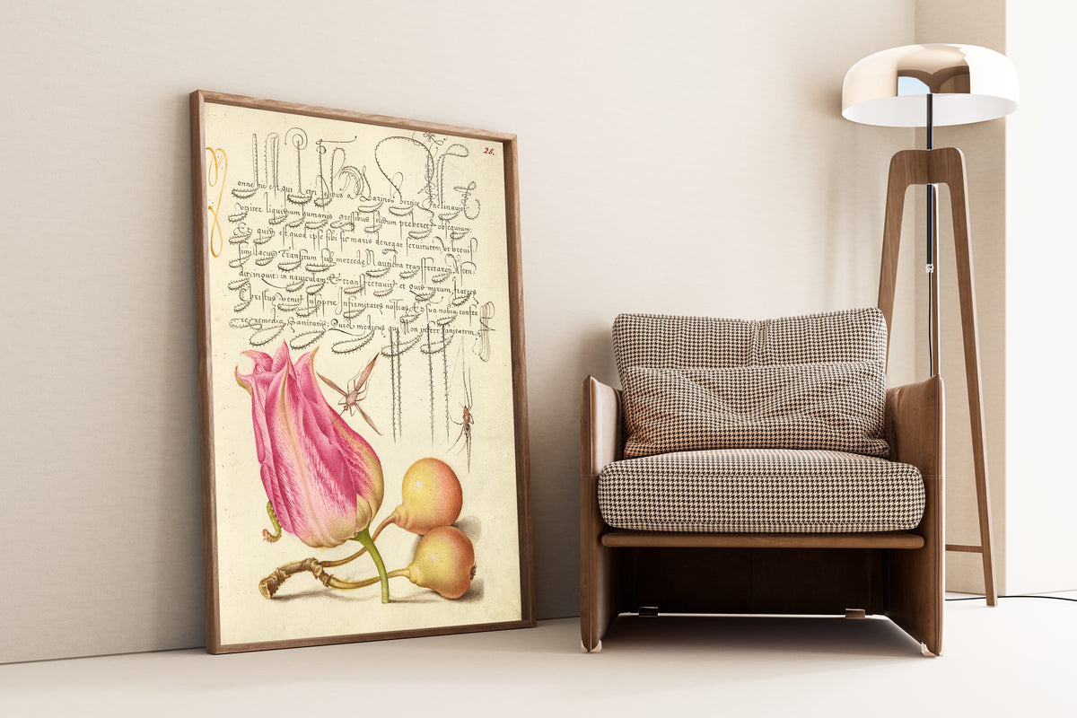 Joris Hoefnagel — Imaginary Insect, Tulip, Spider, and Common Pear | Botanical Calligraphy Print