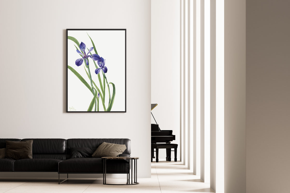 Mary Vaux Walcott — Iris (Iris species) | Fine Art Print