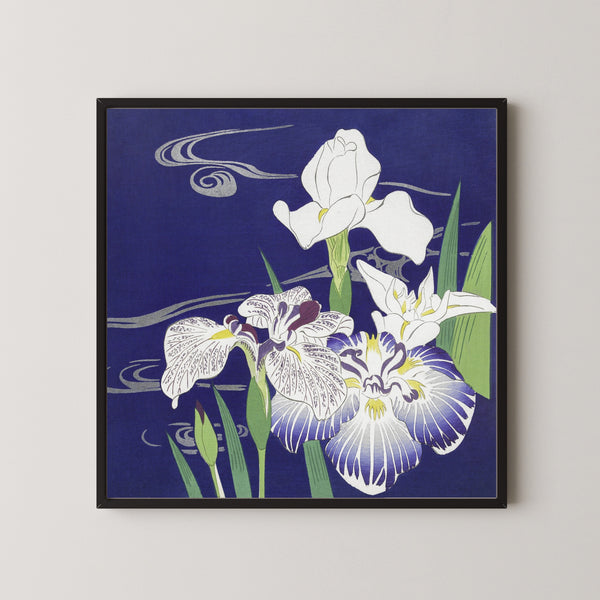 Tsukioka Kōgyo — Irises (1890–1900) | Japanese Woodblock Print (Ukiyo-e)