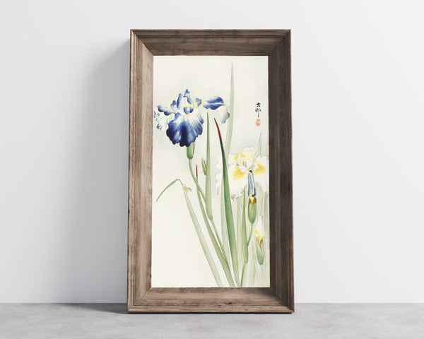 Ohara Koson — Irises (Blue and White) | Japanese Bird & Flower Woodblock Print