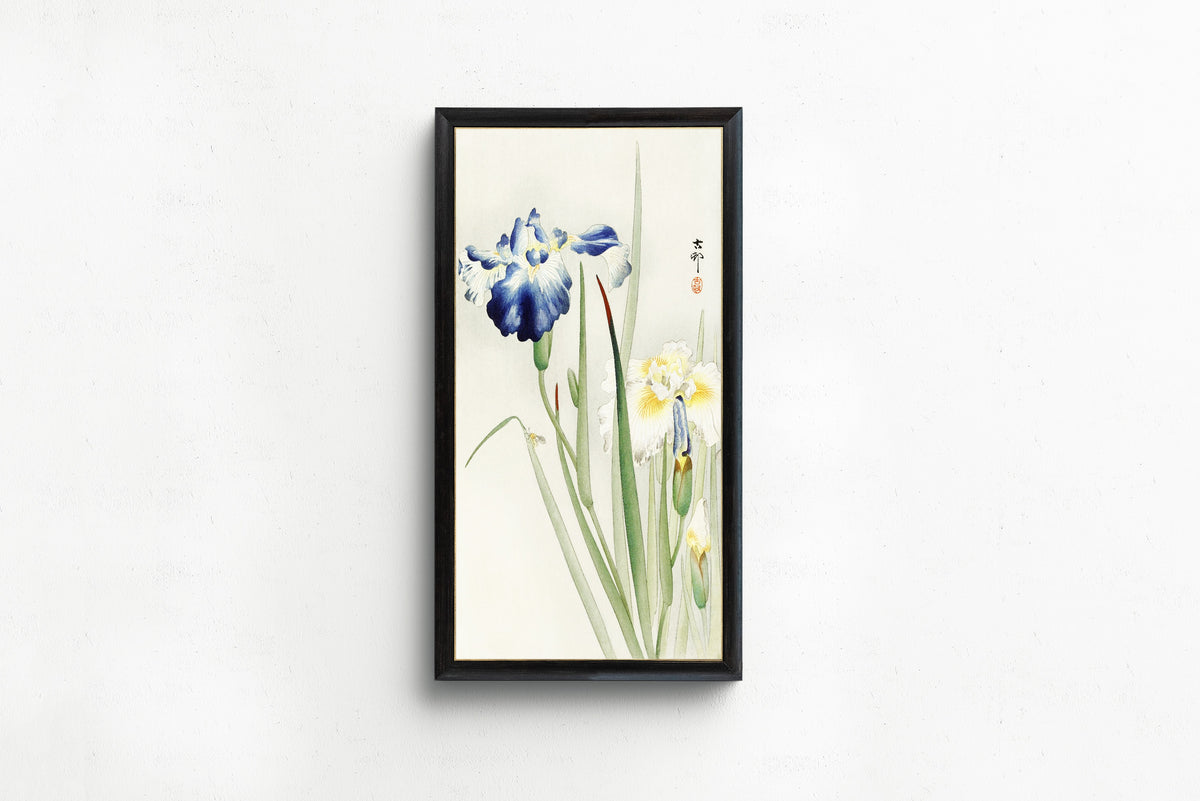 Ohara Koson — Irises (Blue and White) | Japanese Bird & Flower Woodblock Print