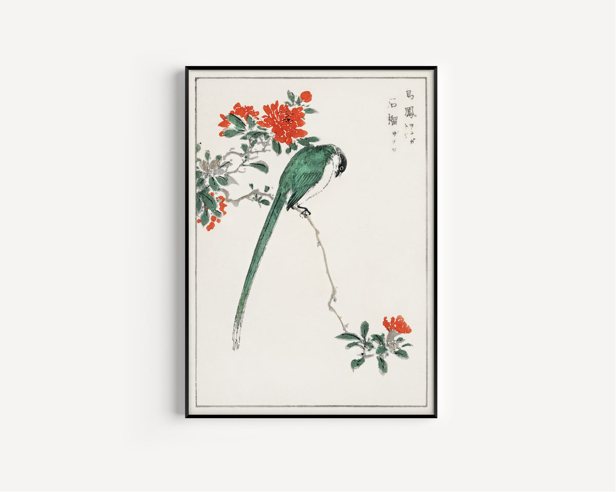 Numata Kashū — Azure-winged Magpie and Pomegranate | Japanese Bird & Flower Woodblock Print