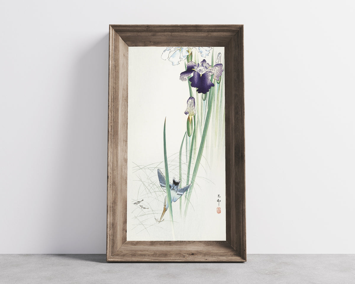 Ohara Koson — Kingfisher and Irises | Japanese Bird & Flower Woodblock Print