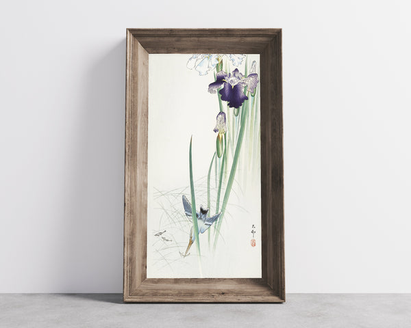 Ohara Koson — Kingfisher and Irises | Japanese Bird & Flower Woodblock Print