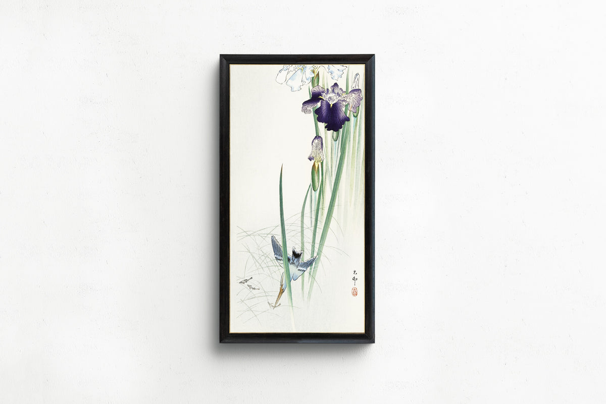 Ohara Koson — Kingfisher and Irises | Japanese Bird & Flower Woodblock Print