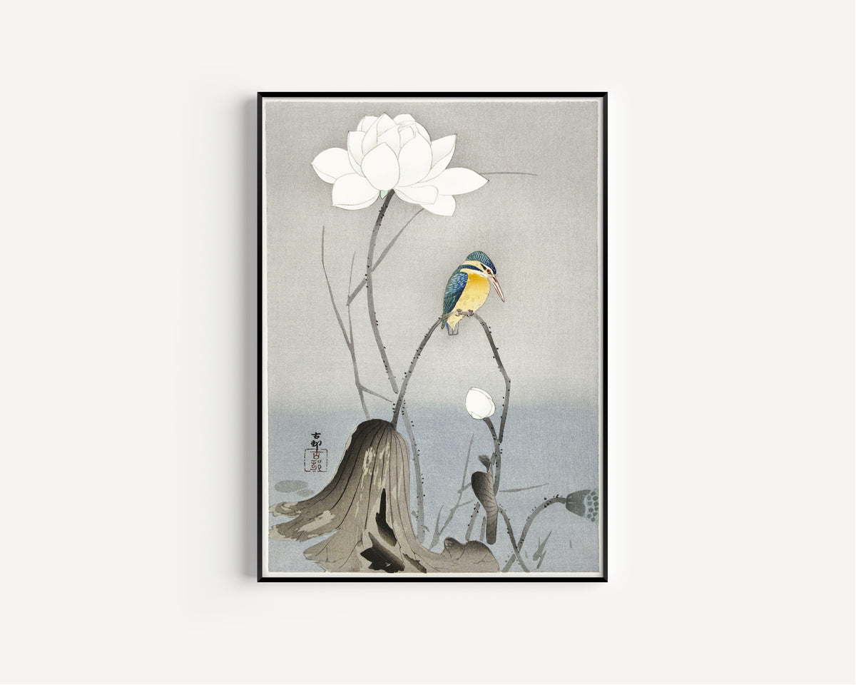 Ohara Koson — Kingfisher with Lotus Flower | Japanese Bird & Flower Woodblock Print