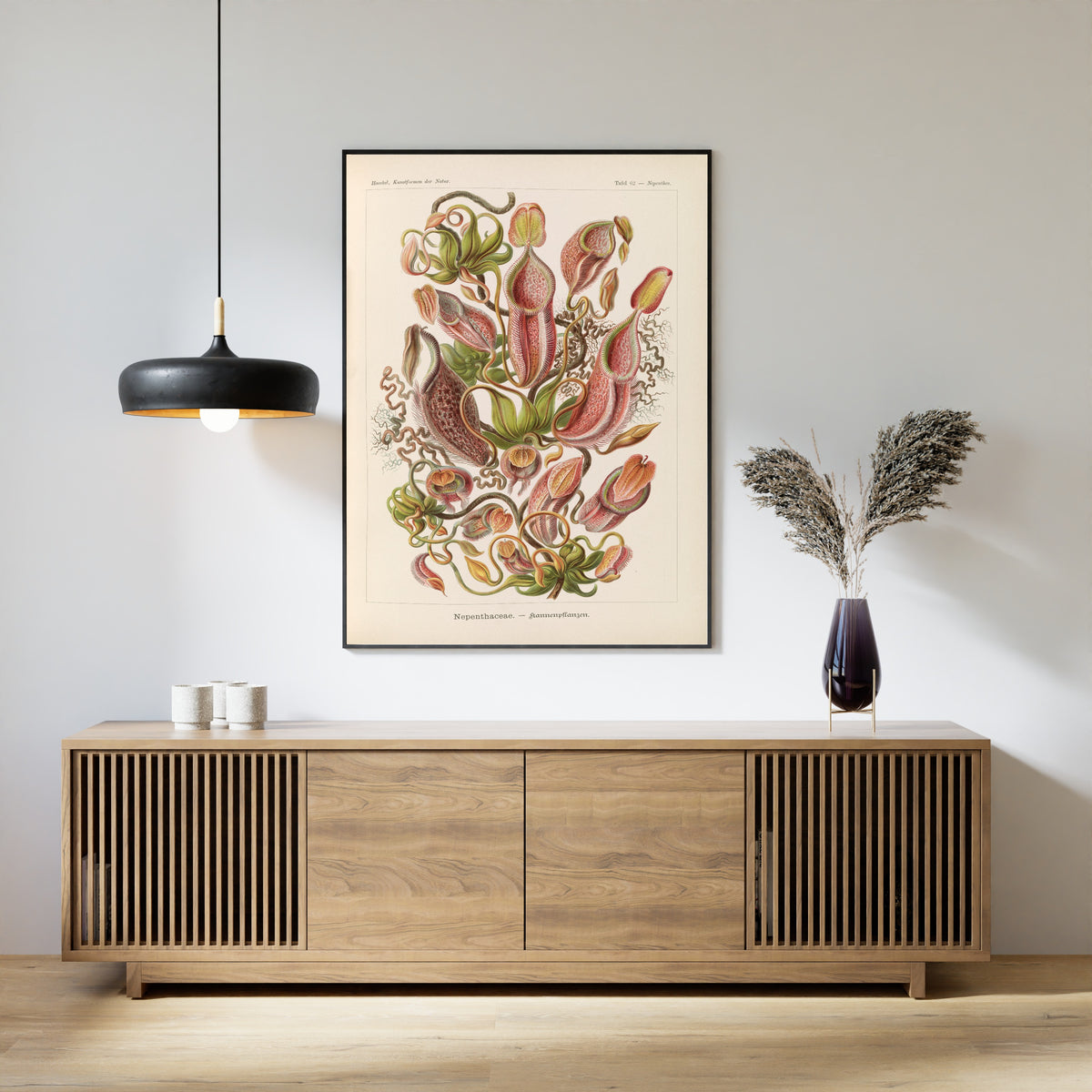 Ernst Haeckel — Kunstformen der Natur, Plate 62: Nepenthaceae | Scientific Illustration Print