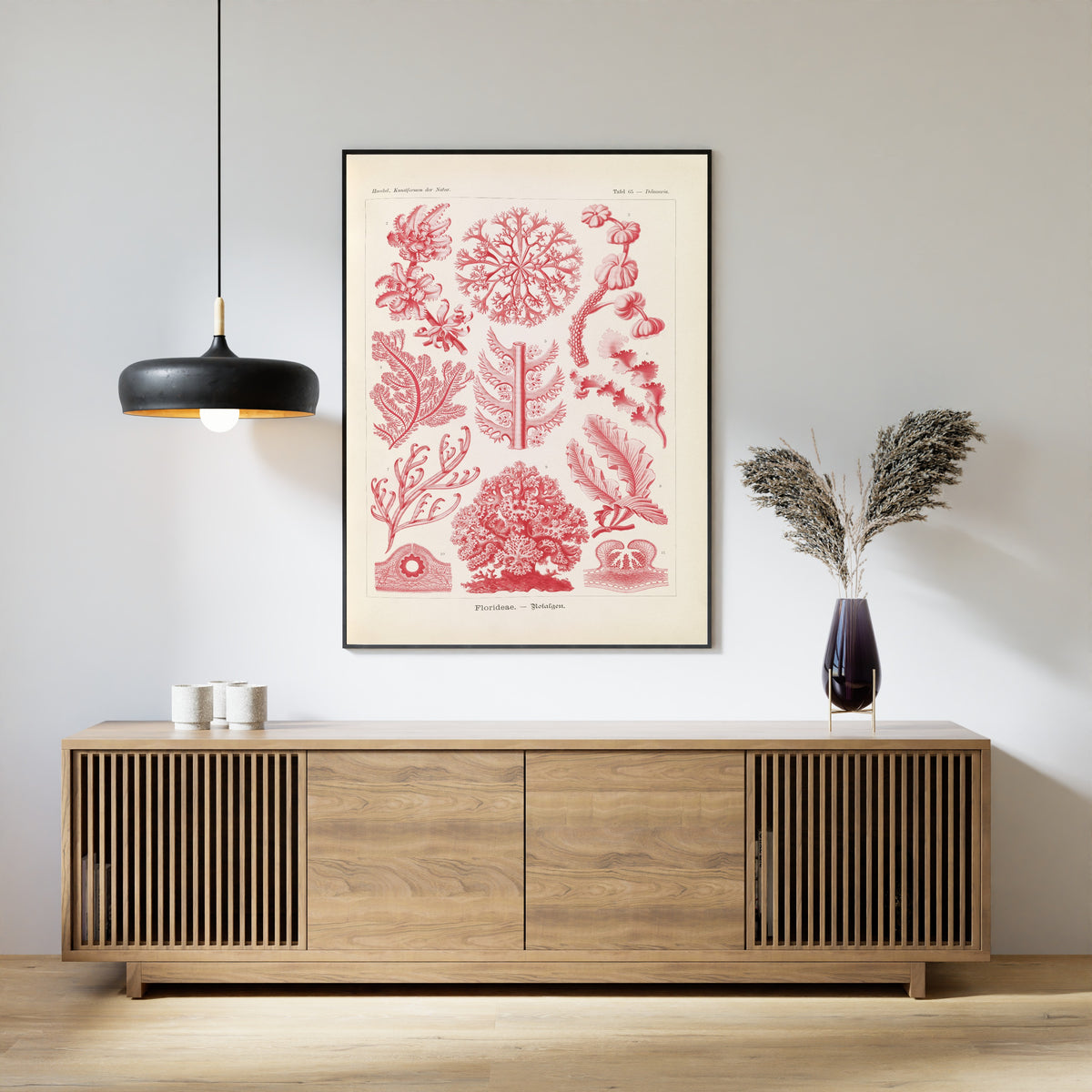 Ernst Haeckel — Kunstformen der Natur, Plate 65: Florideae | Scientific Illustration Print