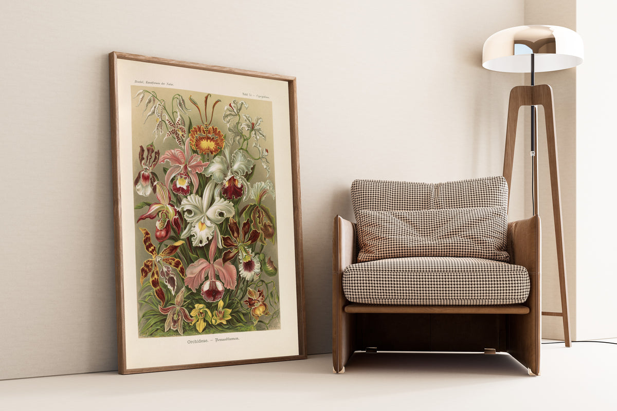 Ernst Haeckel — Kunstformen der Natur, Plate 74: Orchideae | Scientific Illustration Print