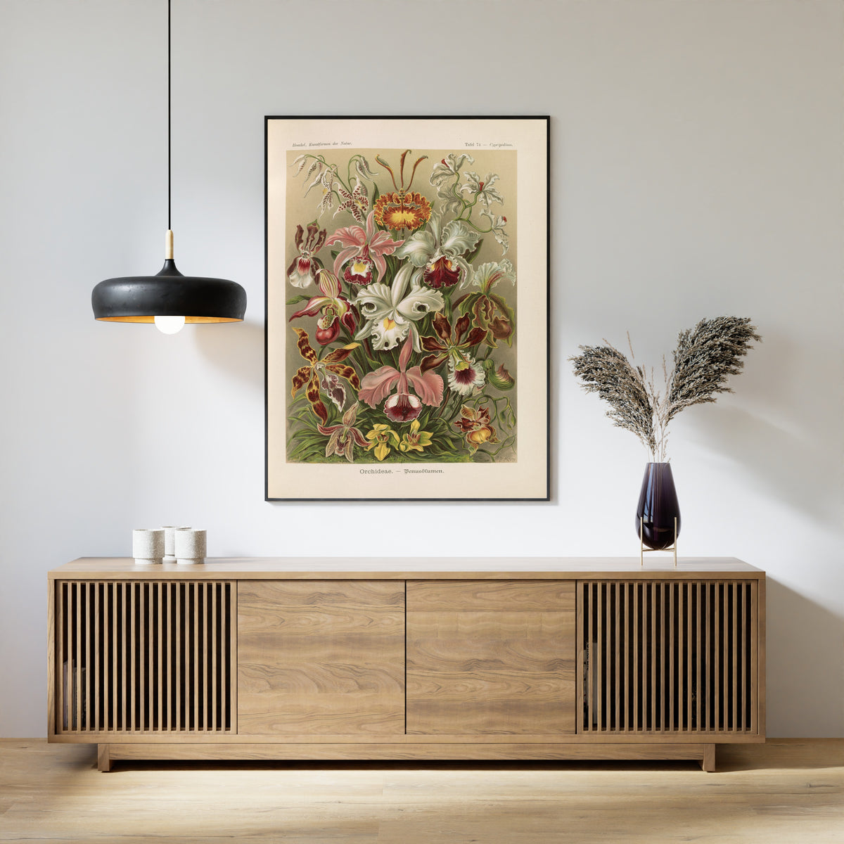 Ernst Haeckel — Kunstformen der Natur, Plate 74: Orchideae | Scientific Illustration Print