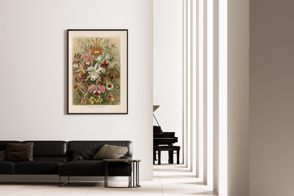 Ernst Haeckel — Kunstformen der Natur, Plate 74: Orchideae | Scientific Illustration Print