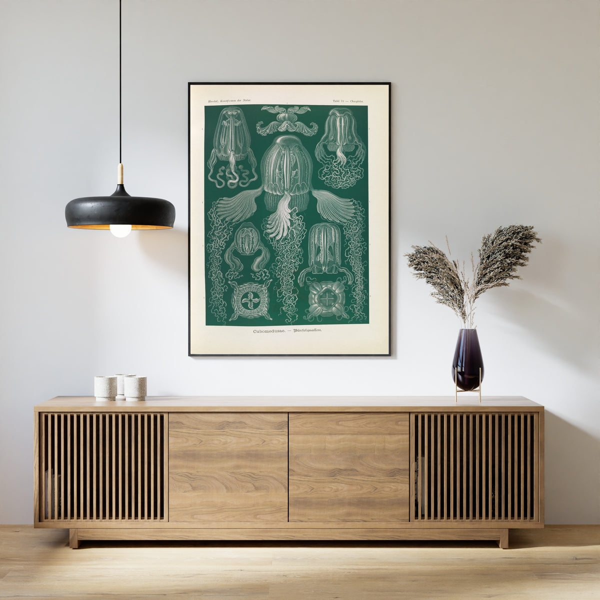 Ernst Haeckel — Kunstformen der Natur, Plate 78: Cubomedusae | Scientific Illustration Print