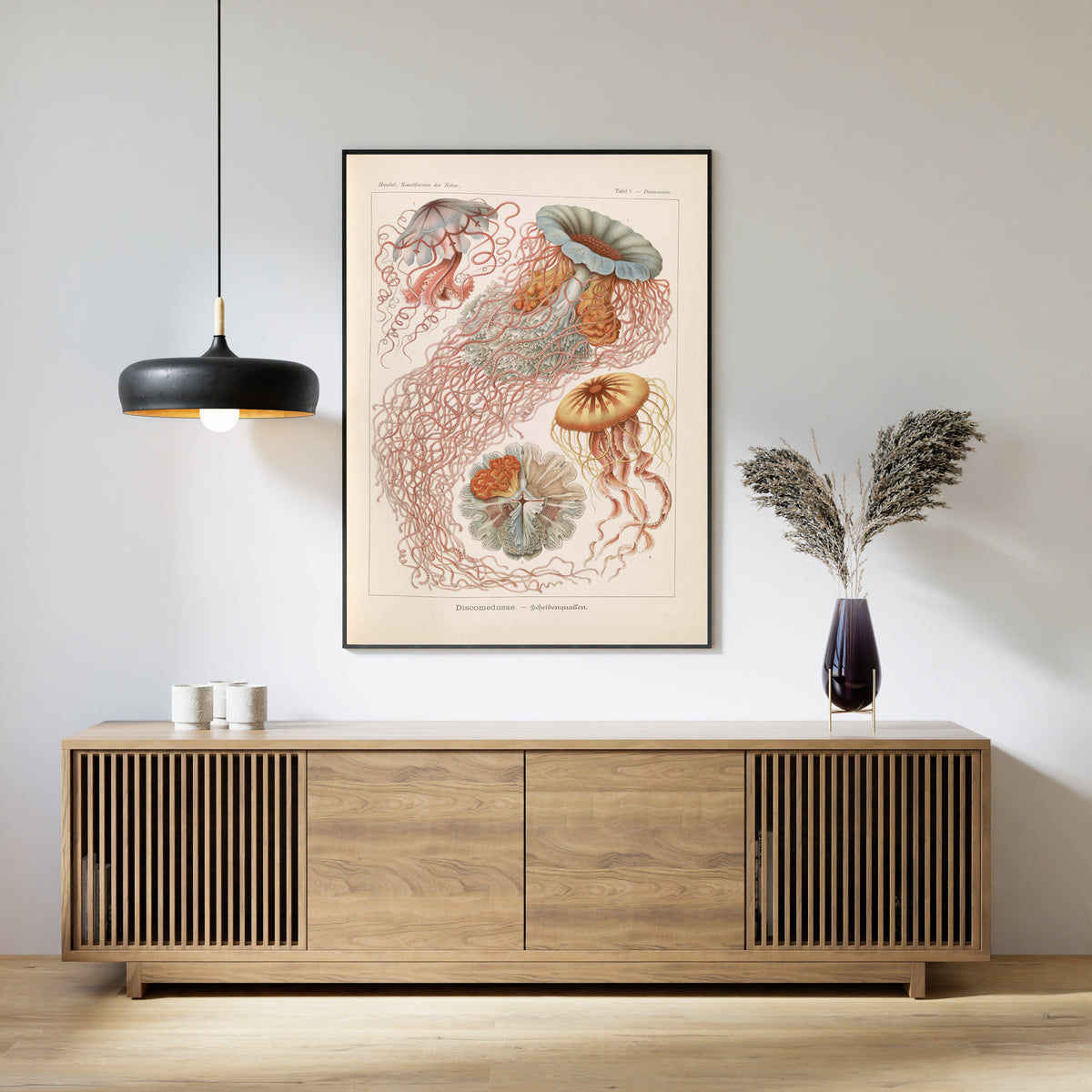 Ernst Haeckel — Kunstformen der Natur, Plate 8: Discomedusae | Scientific Illustration Print