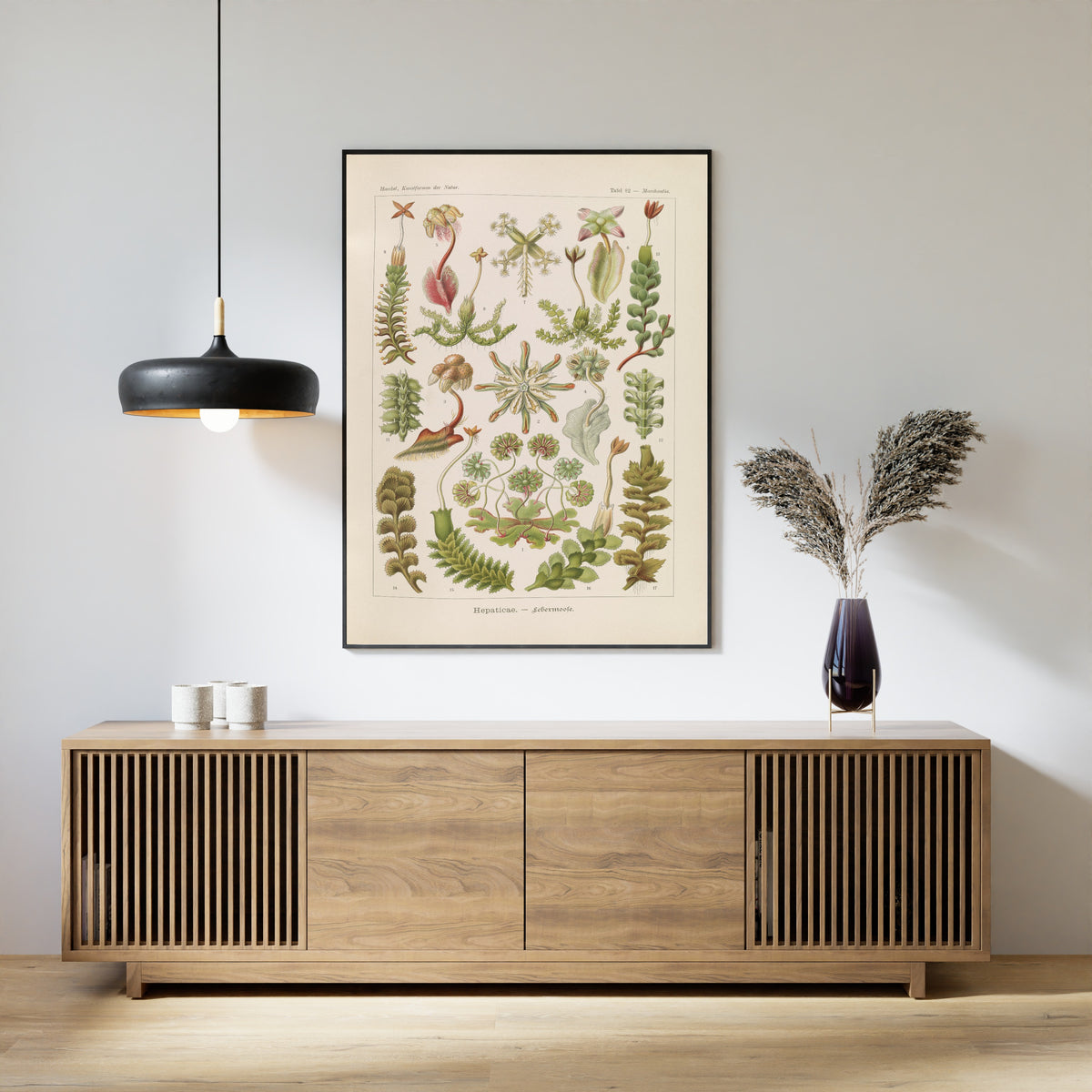Ernst Haeckel — Kunstformen der Natur, Plate 82: Hepaticae | Scientific Illustration Print