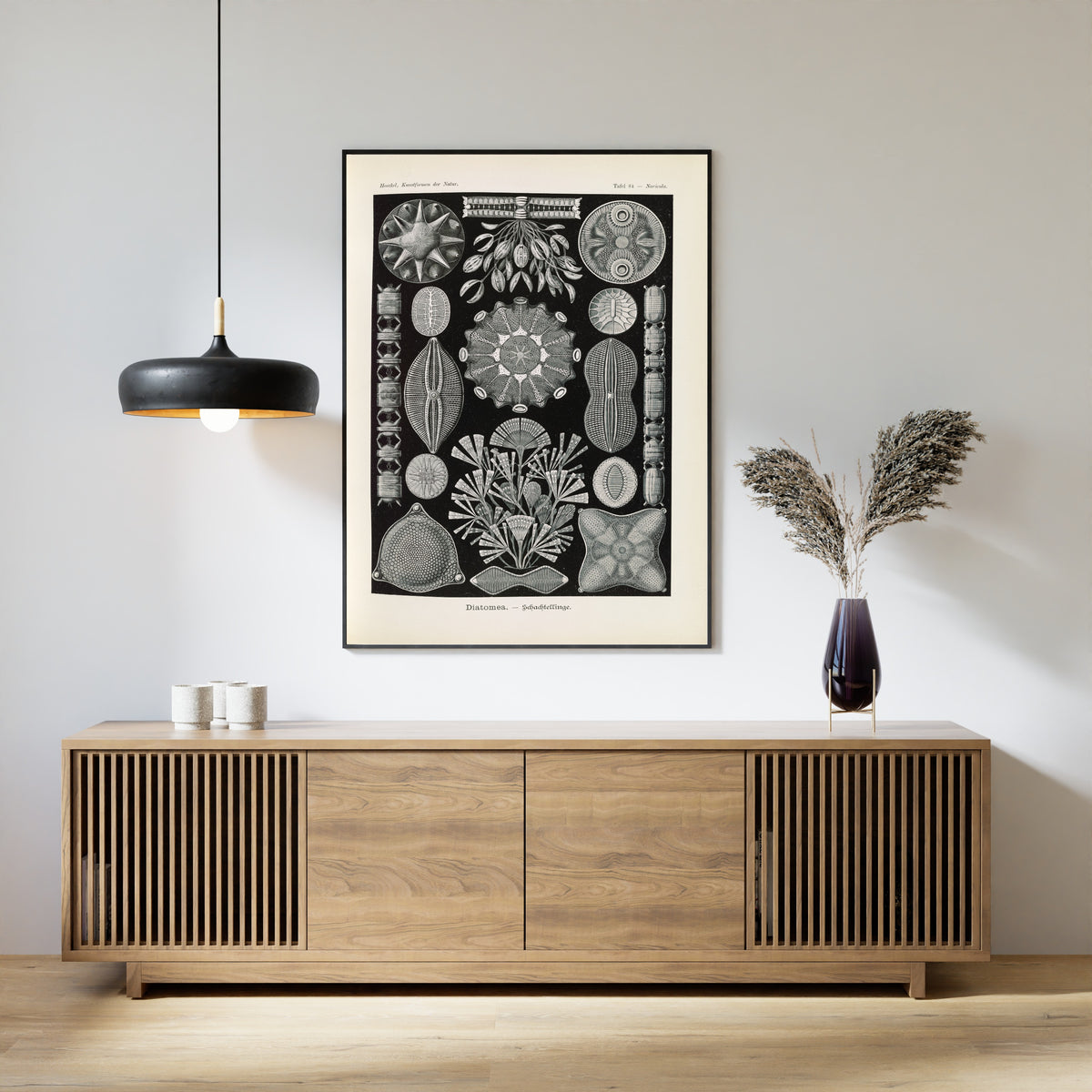 Ernst Haeckel — Kunstformen der Natur, Plate 84: Diatomea | Scientific Illustration Print