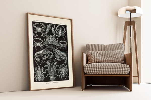 Ernst Haeckel — Kunstformen der Natur, Plate 86: Decapoda | Scientific Illustration Print