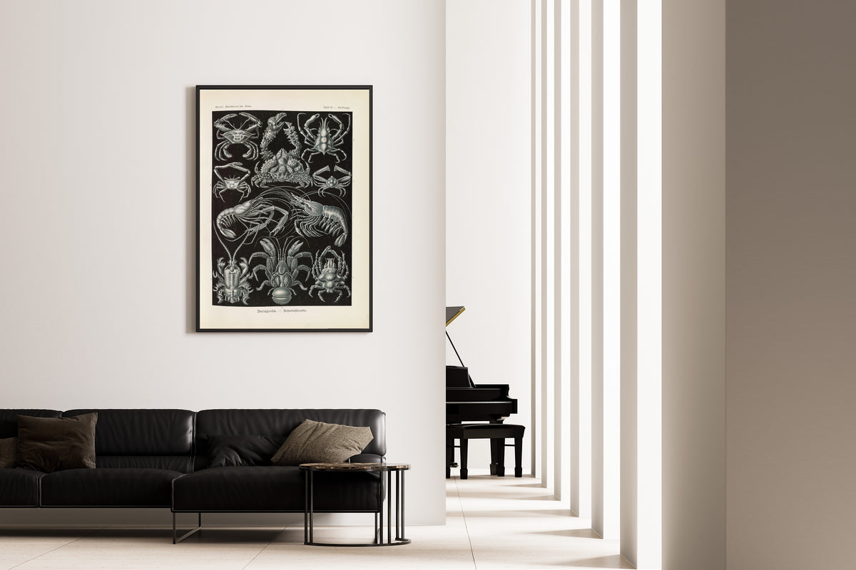Ernst Haeckel — Kunstformen der Natur, Plate 86: Decapoda | Scientific Illustration Print