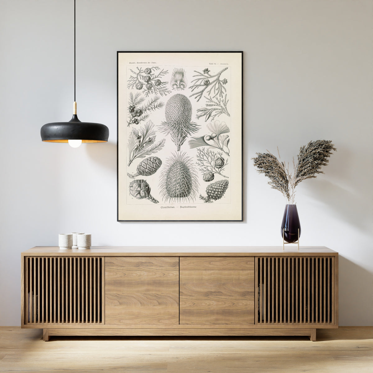 Ernst Haeckel — Kunstformen der Natur, Plate 94: Coniferae | Scientific Illustration Print