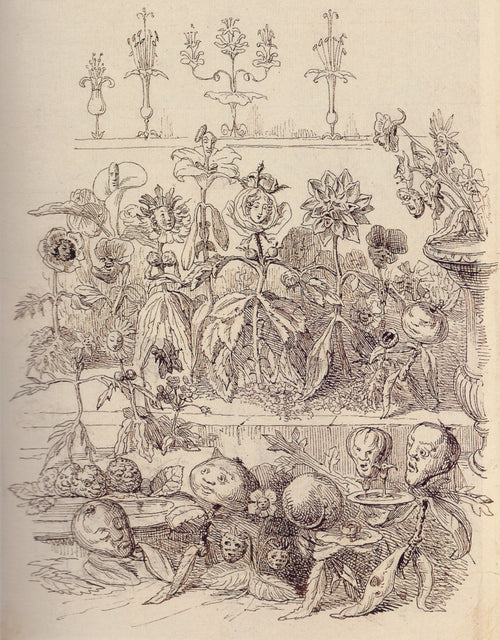 La Fête des fleurs by J. J. Grandville — Flowers and fruit with human faces crowd a garden terrace