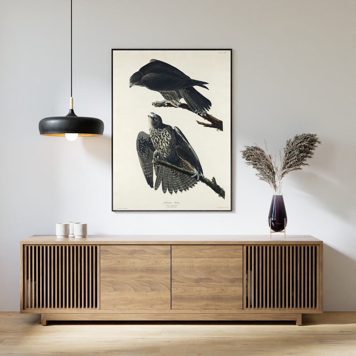 John James Audubon — Labrador Falcon | Natural History Print