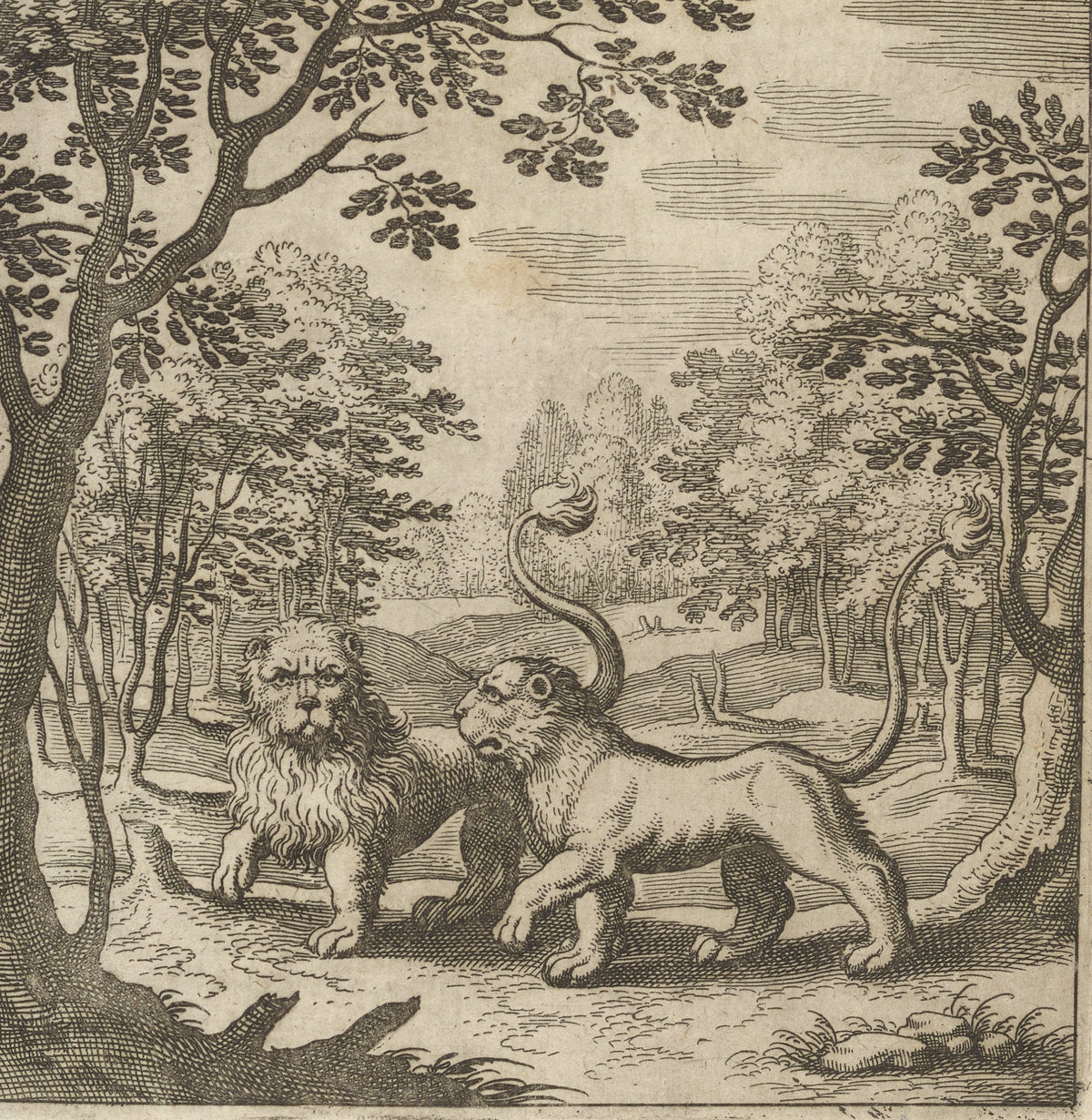 Lambsprinck, De Lapide Philosophico: Figure 4, the Lion and the Lioness by Matthäus Merian — Two lions meet on a forest path beneath arching trees