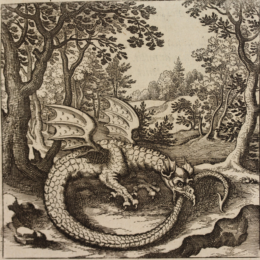 Matthäus Merian — Lambsprinck, De Lapide Philosophico: Figure 6, the Dragon Biting Its Tail | Alchemical Engraving Print shown to scale on a wall above a sofa