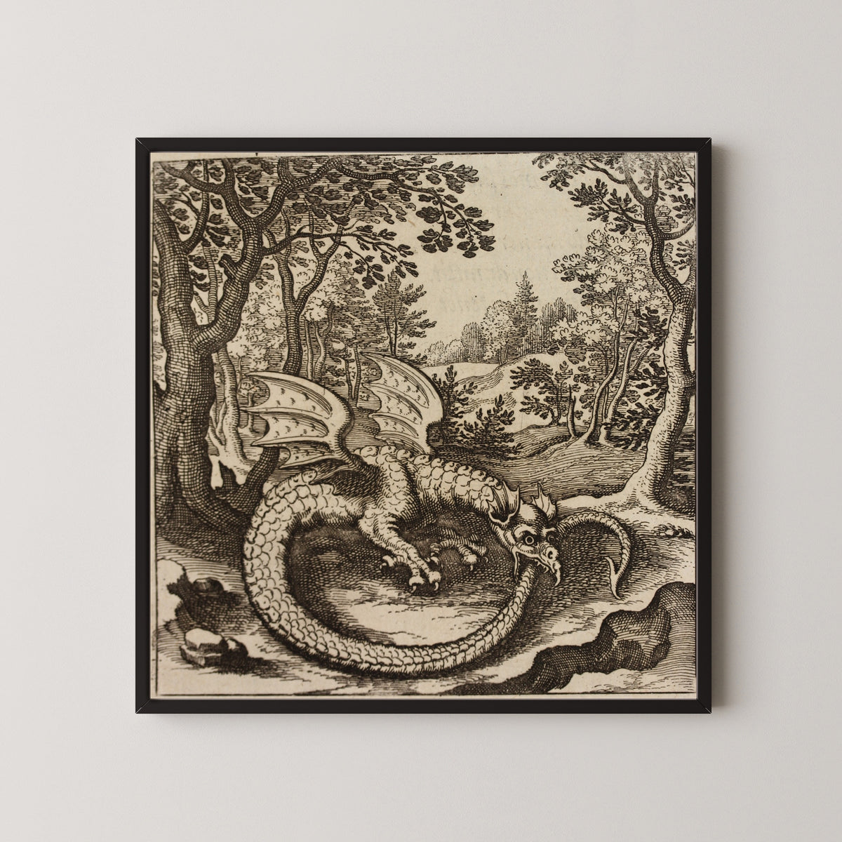Framed art print of Lambsprinck, De Lapide Philosophico: Figure 6, the Dragon Biting Its Tail by Matthäus Merian, in a black frame on a pale wall