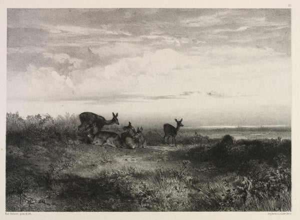 Karl Bodmer — Landscape with Deer | Fine Art Print