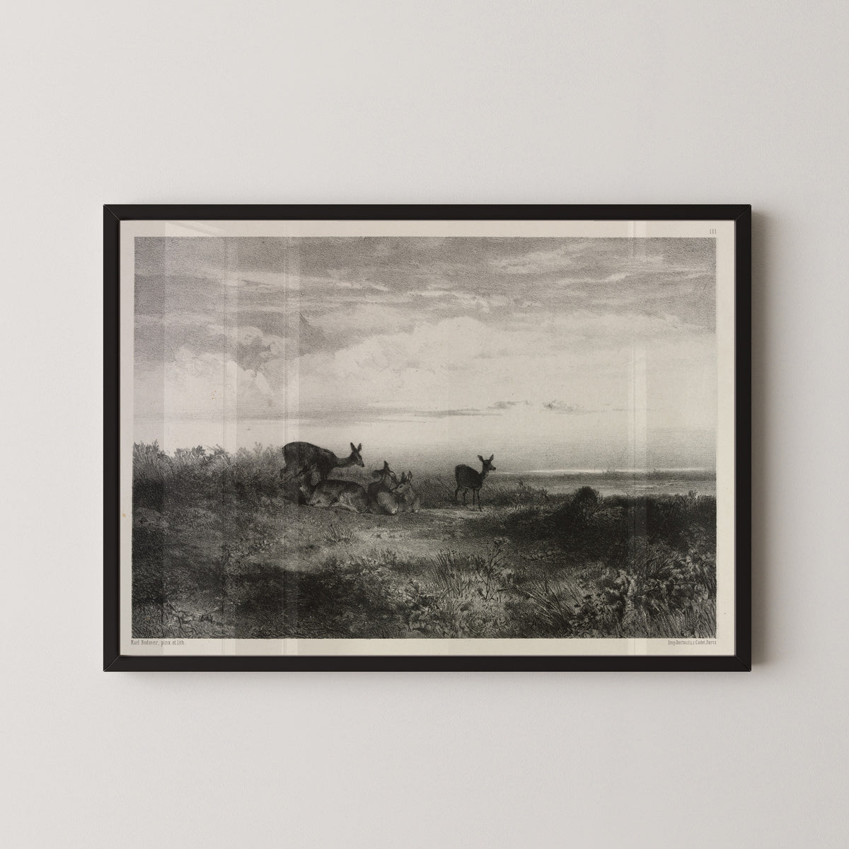 Karl Bodmer — Landscape with Deer | Fine Art Print