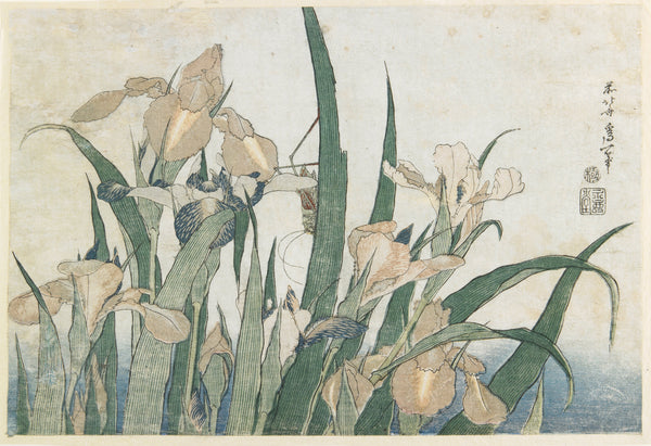 Katsushika Hokusai — Large Flowers: Irises and Grasshopper | Japanese Woodblock Print (Ukiyo-e)