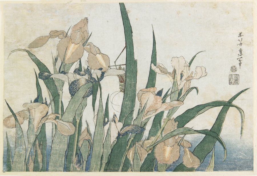 Katsushika Hokusai — Large Flowers: Irises and Grasshopper | Japanese Woodblock Print (Ukiyo-e) shown to scale on a wall above a sofa
