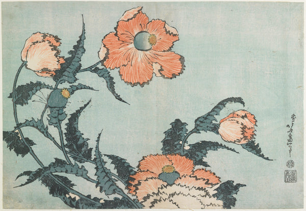 Katsushika Hokusai — Large Flowers: Poppies | Japanese Woodblock Print (Ukiyo-e)