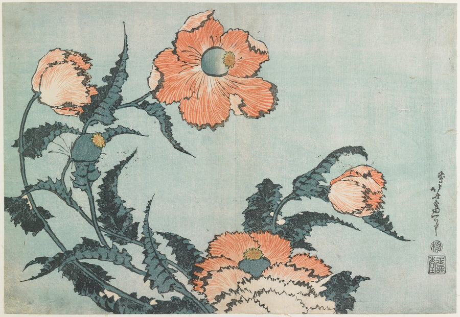 Katsushika Hokusai — Large Flowers: Poppies | Japanese Woodblock Print (Ukiyo-e) shown to scale on a wall above a sofa