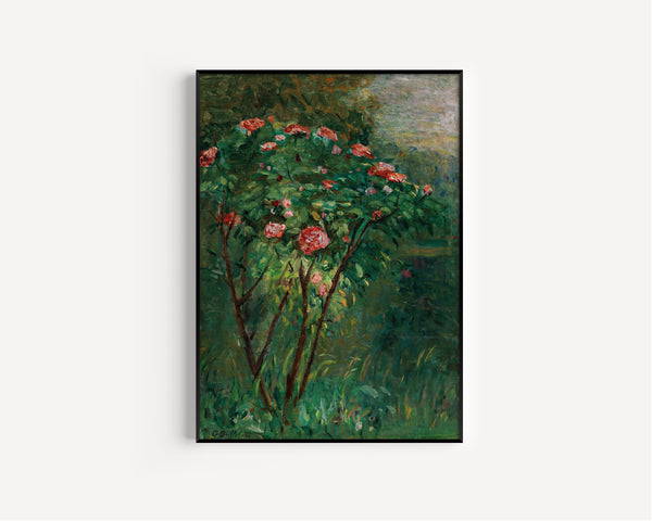 Gustave Caillebotte — Le Rosier fleuri (The Flowering Rosebush) | Fine Art Print