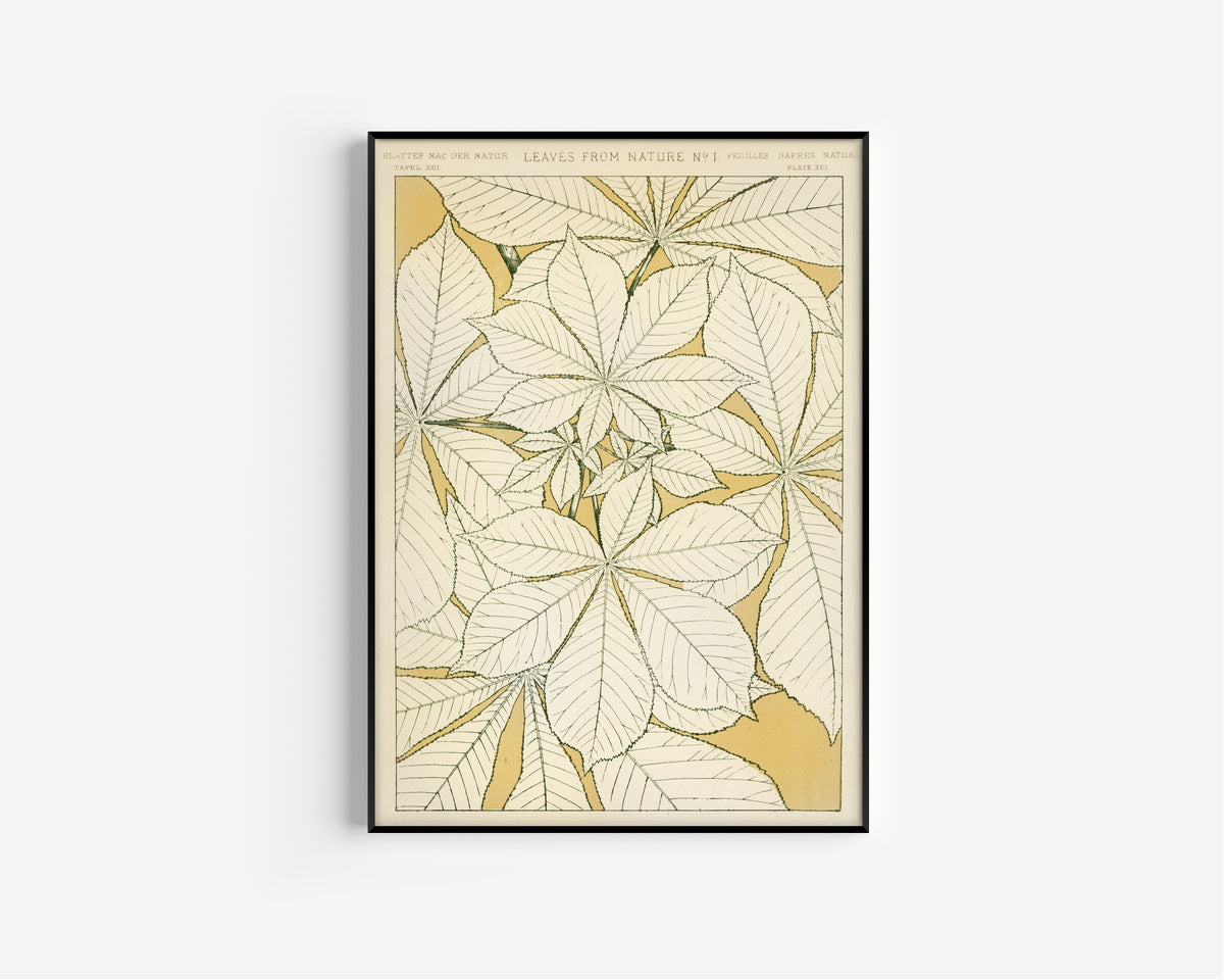 Owen Jones — Leaves from Nature No. 1 | Grammar of Ornament Design Print