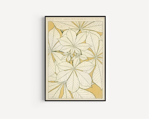 Owen Jones — Leaves from Nature No. 1 | Grammar of Ornament Design Print