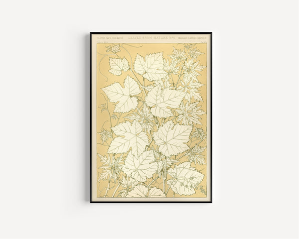 Owen Jones — Leaves from Nature No. 2 | Grammar of Ornament Design Print
