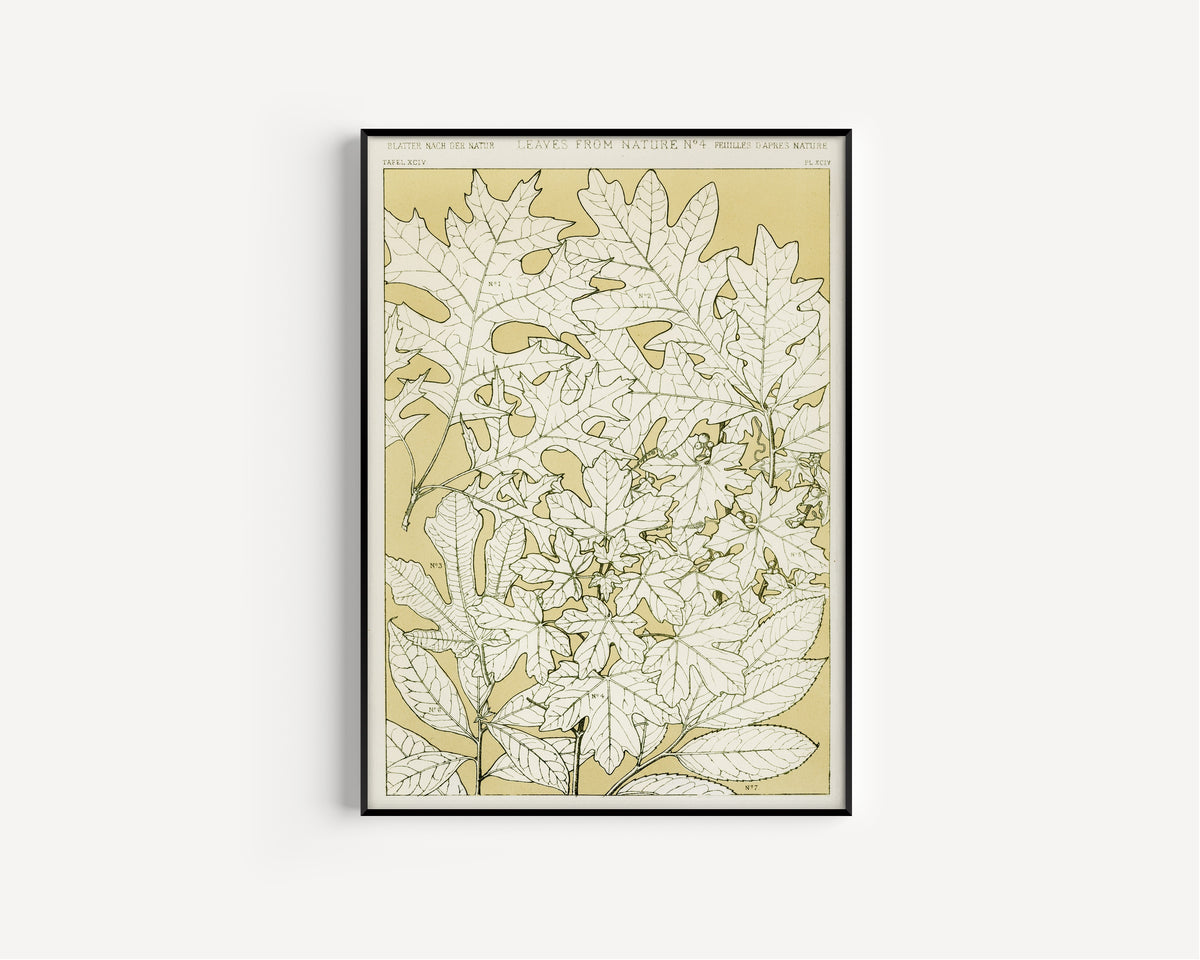 Owen Jones — Leaves from Nature No. 4 | Grammar of Ornament Design Print