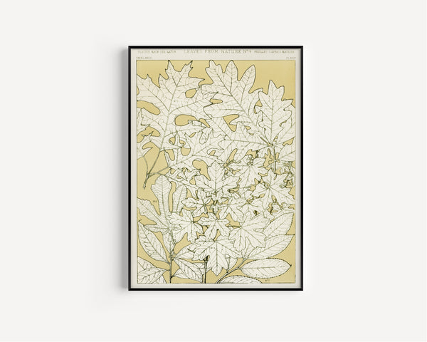Owen Jones — Leaves from Nature No. 4 | Grammar of Ornament Design Print