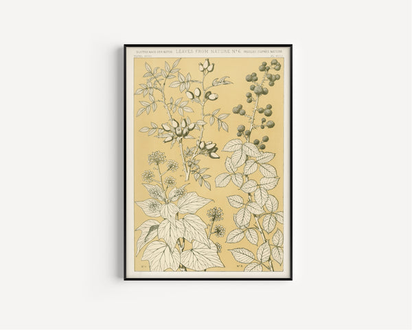 Owen Jones — Leaves from Nature No. 6 | Grammar of Ornament Design Print
