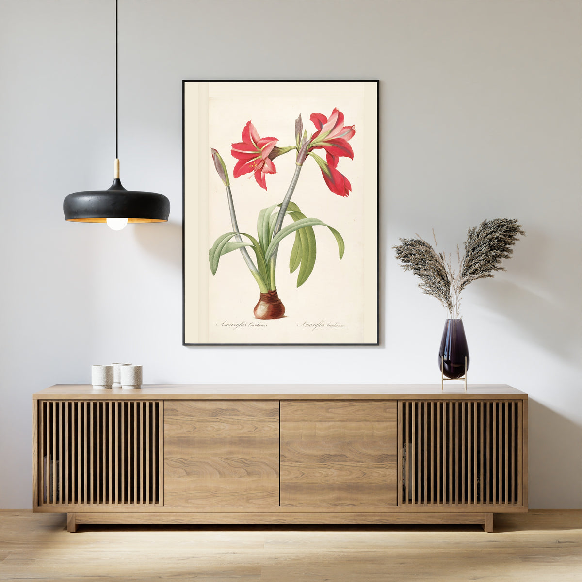 Pierre-Joseph Redouté — Les Liliacées: Amaryllis brasiliensis | Botanical Illustration Print