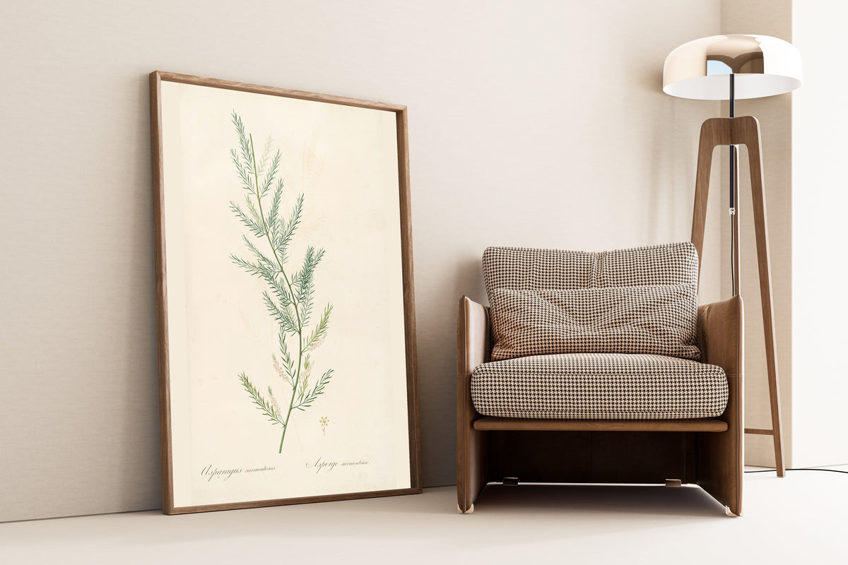 Pierre-Joseph Redouté — Les Liliacées: Asparagus sarmentosus | Botanical Illustration Print