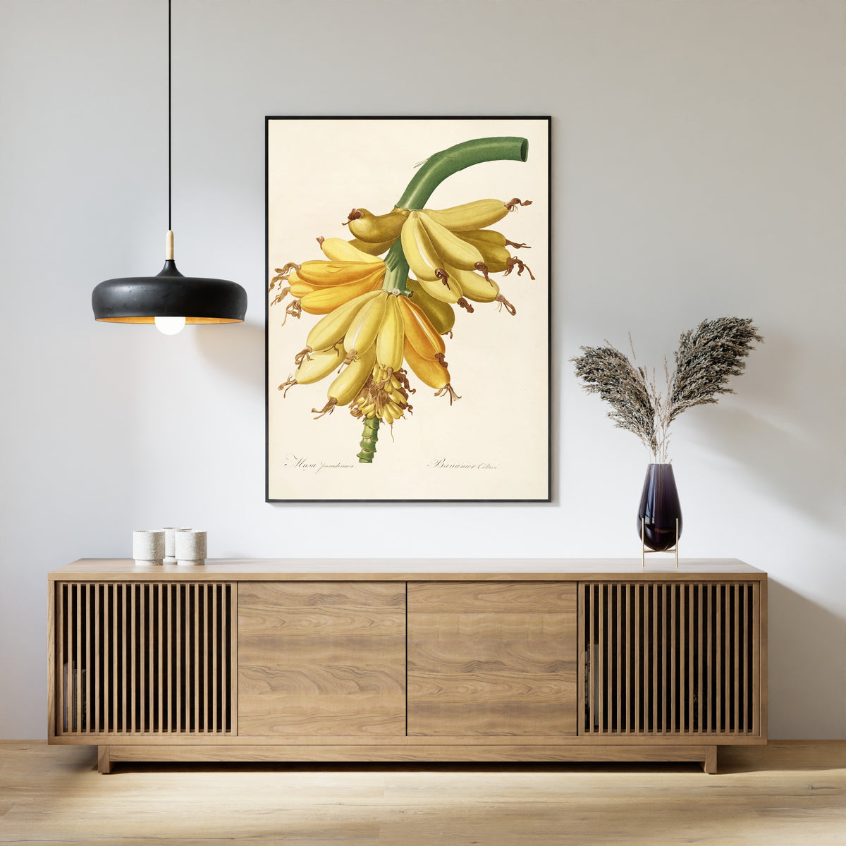 Pierre-Joseph Redouté — Les Liliacées: Musa paradisiaca | Botanical Illustration Print